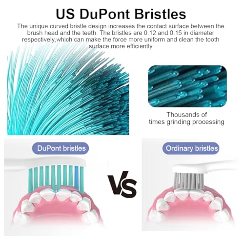 MAYCREATE® 8PCS Toothbrush Replacement Heads for Philips Sonicare Soft Dupont Bristles Electric Suitable MAYCREATE® 8PCS Toothbrush Replacement Heads for Philips Sonicare Soft Dupont Bristles Electric Suitable